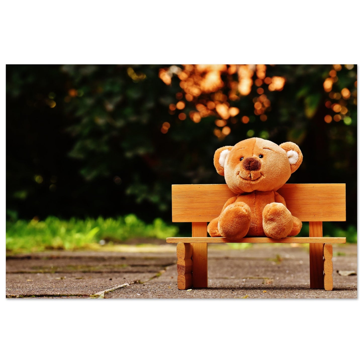 Bench Bear