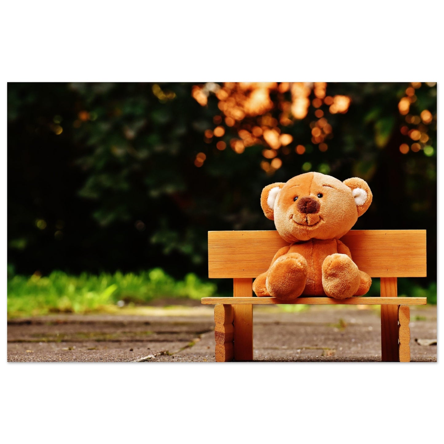 Bench Bear