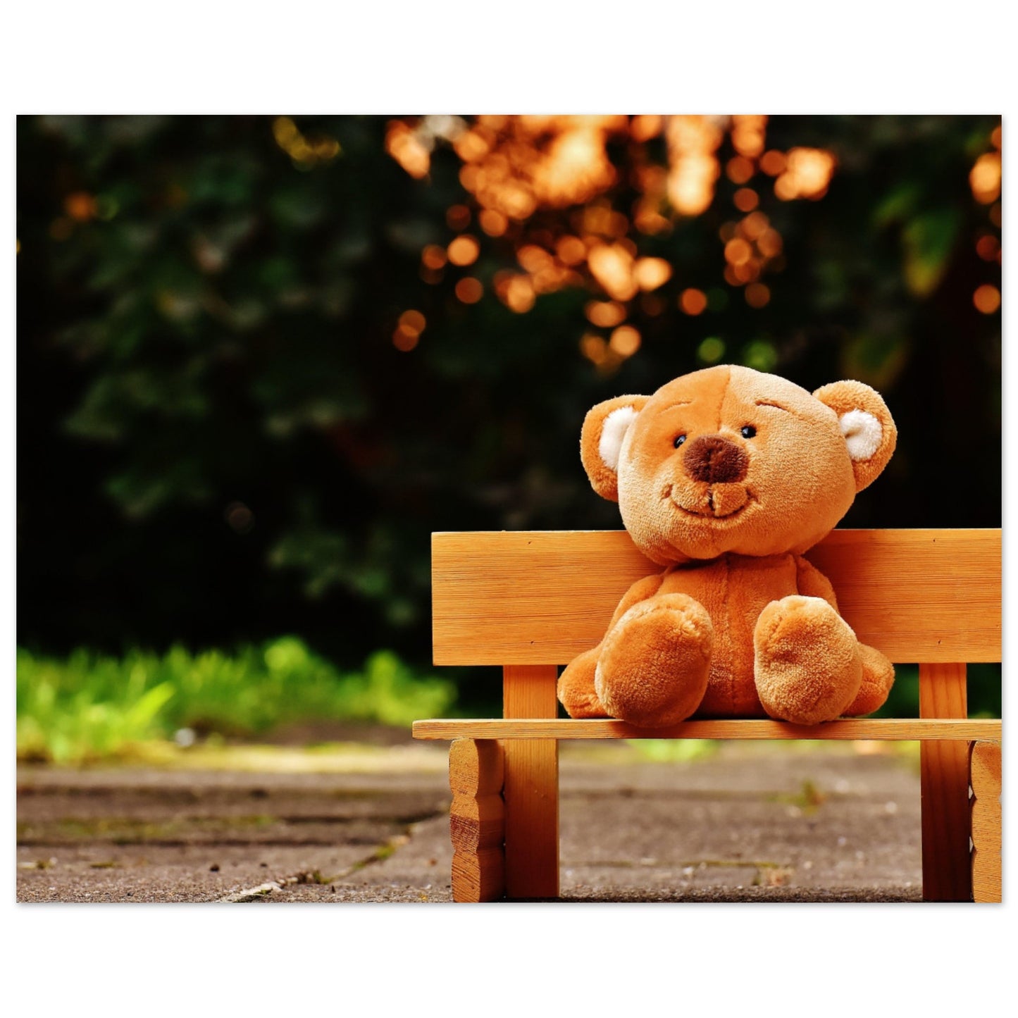 Bench Bear