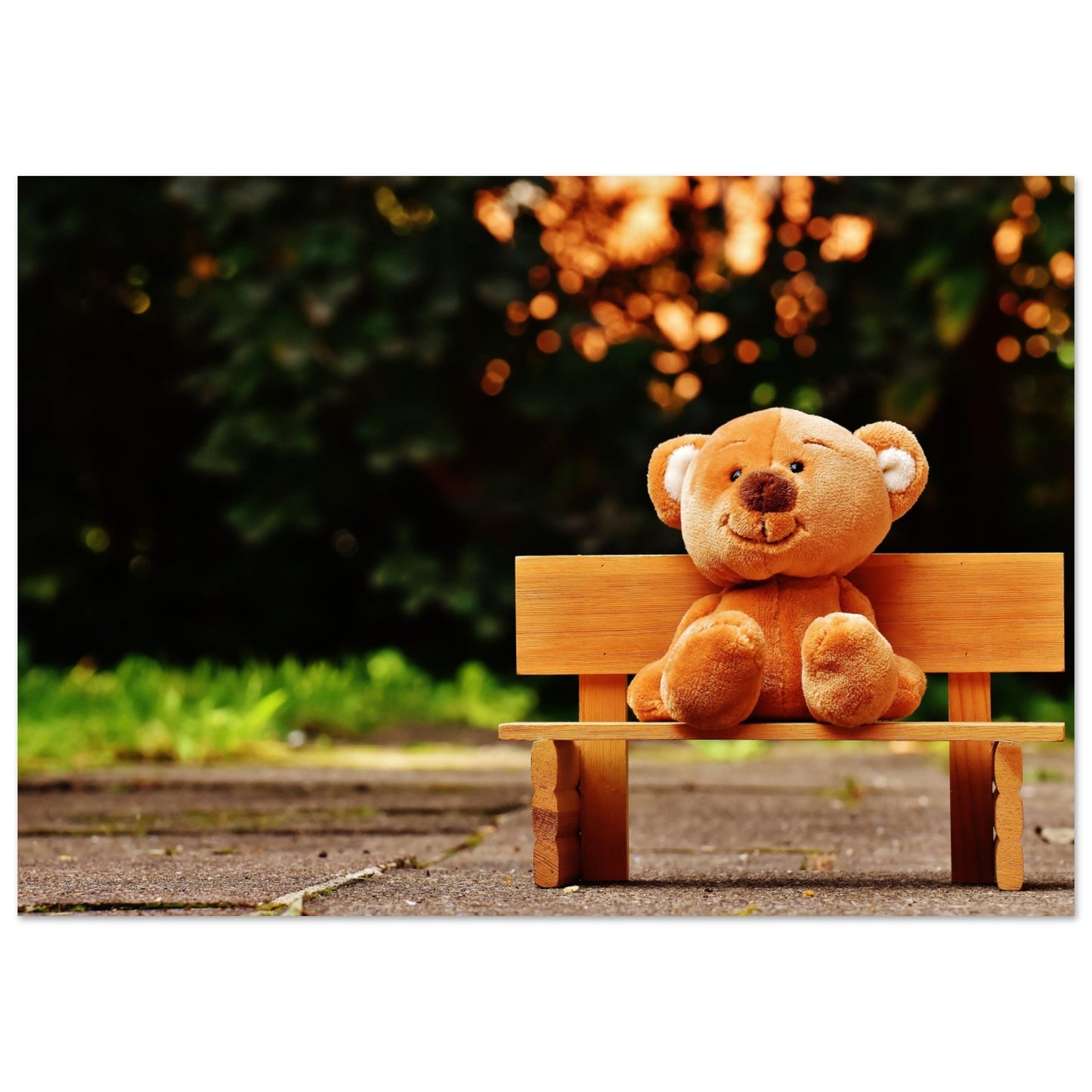 Bench Bear