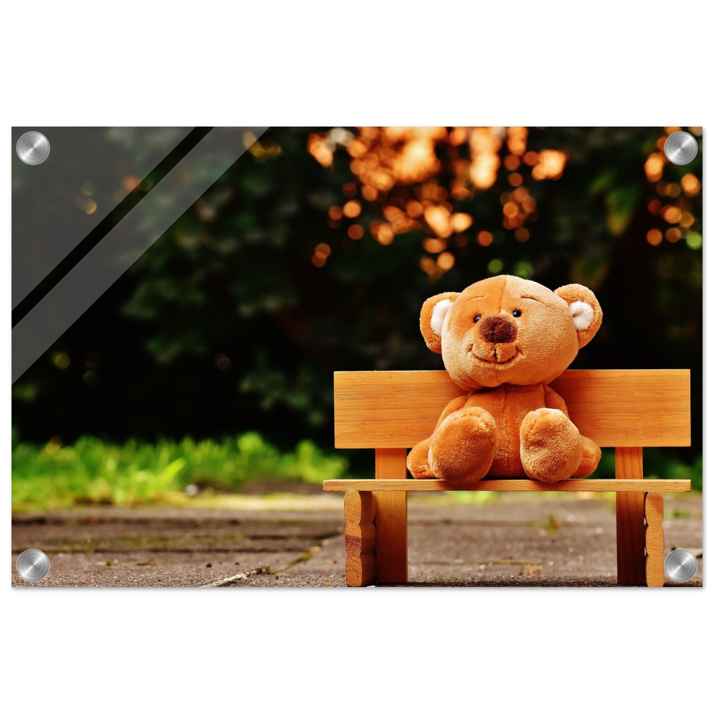 Bench Bear