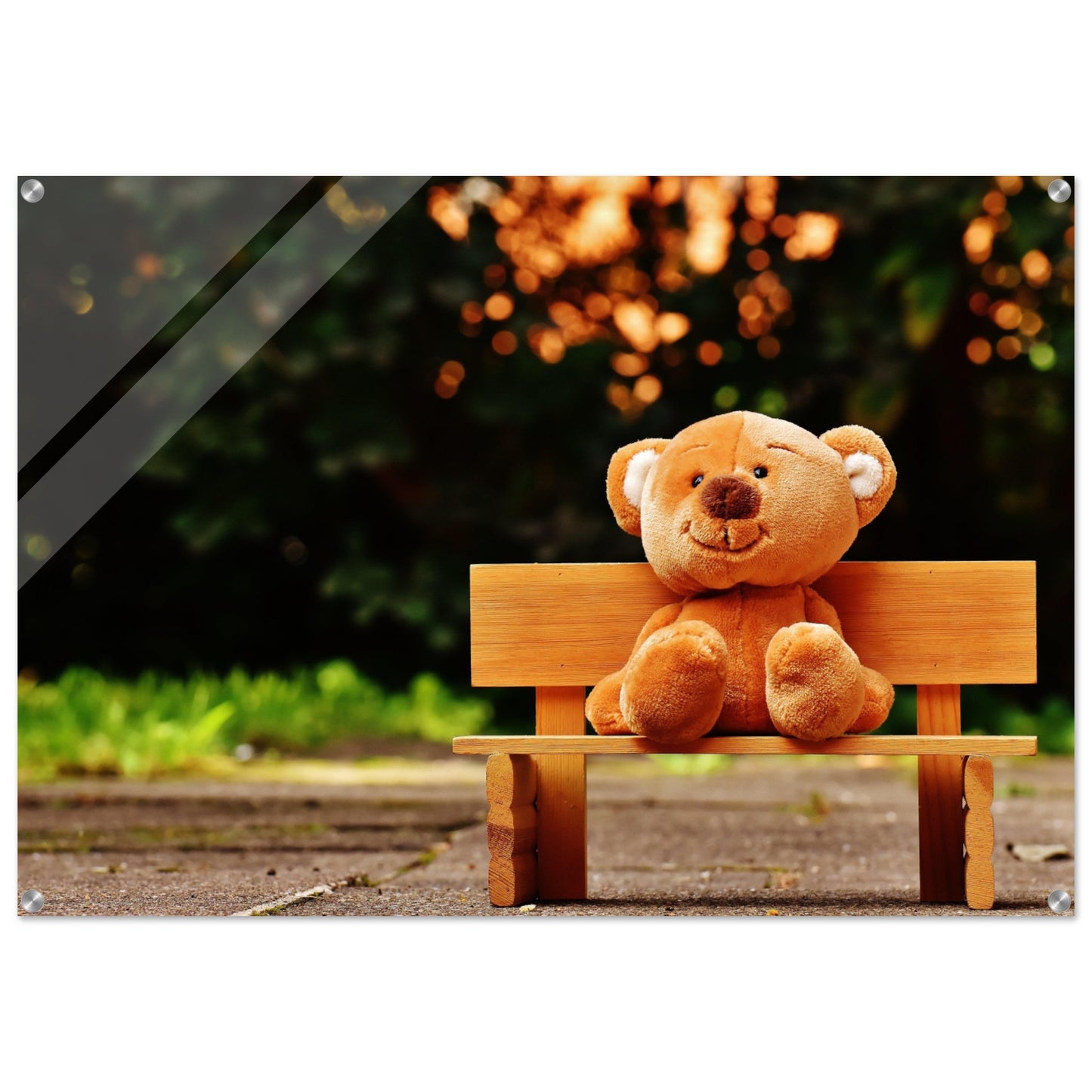 Bench Bear