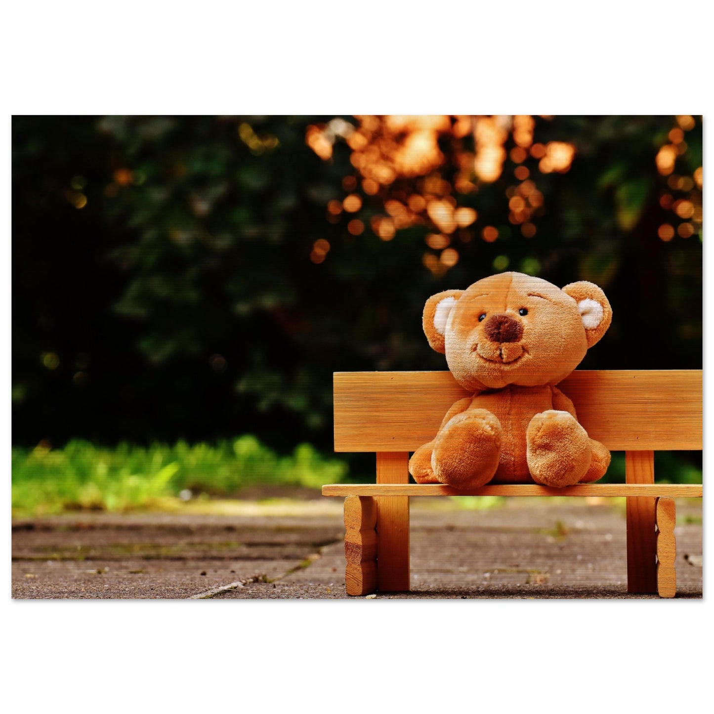 Bench Bear