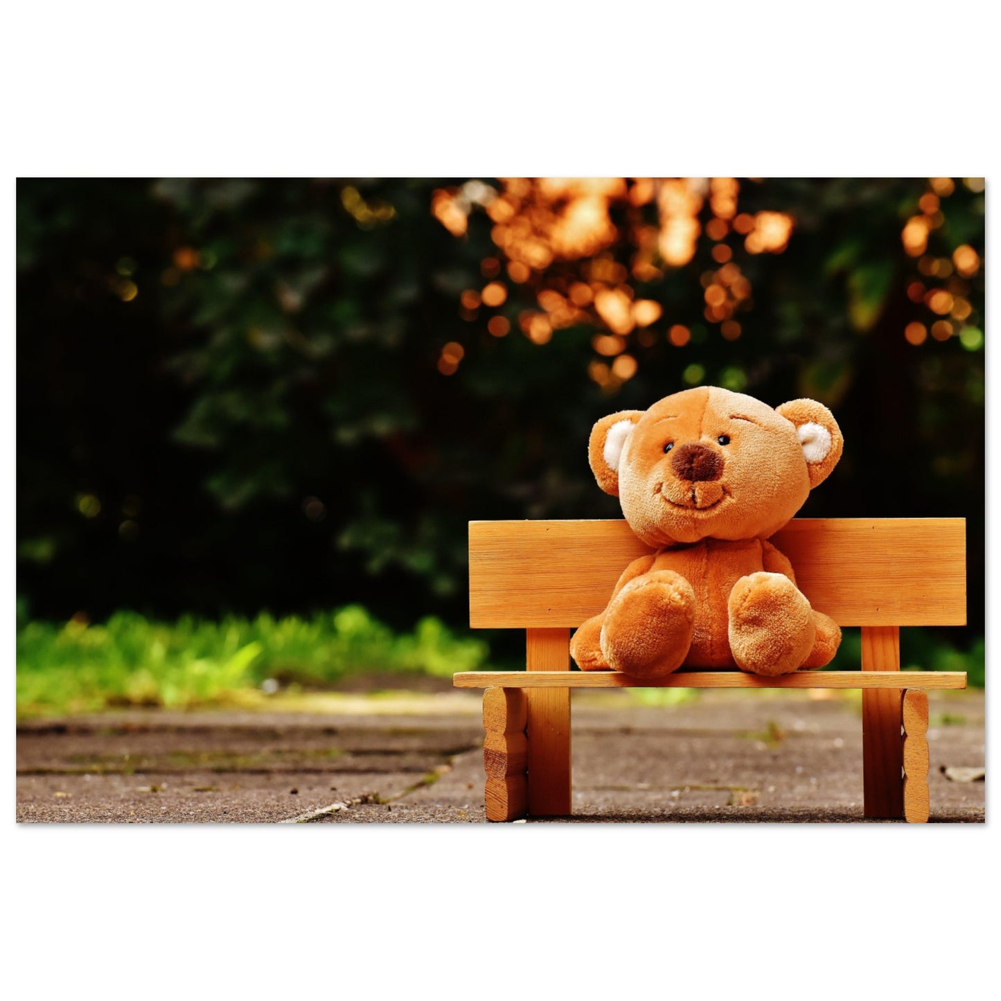 Bench Bear