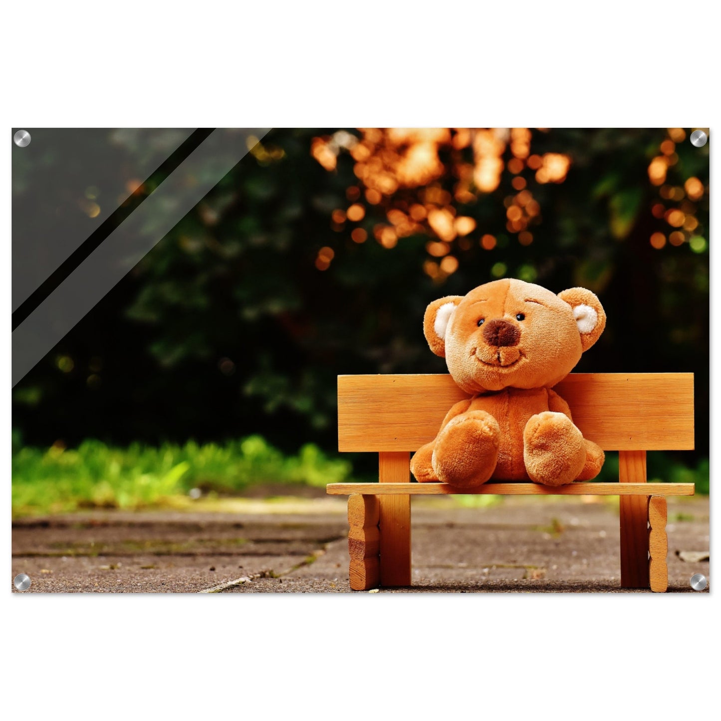 Bench Bear